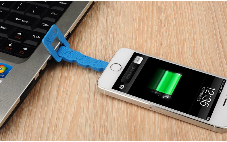 USB Keychain Lightning Cable